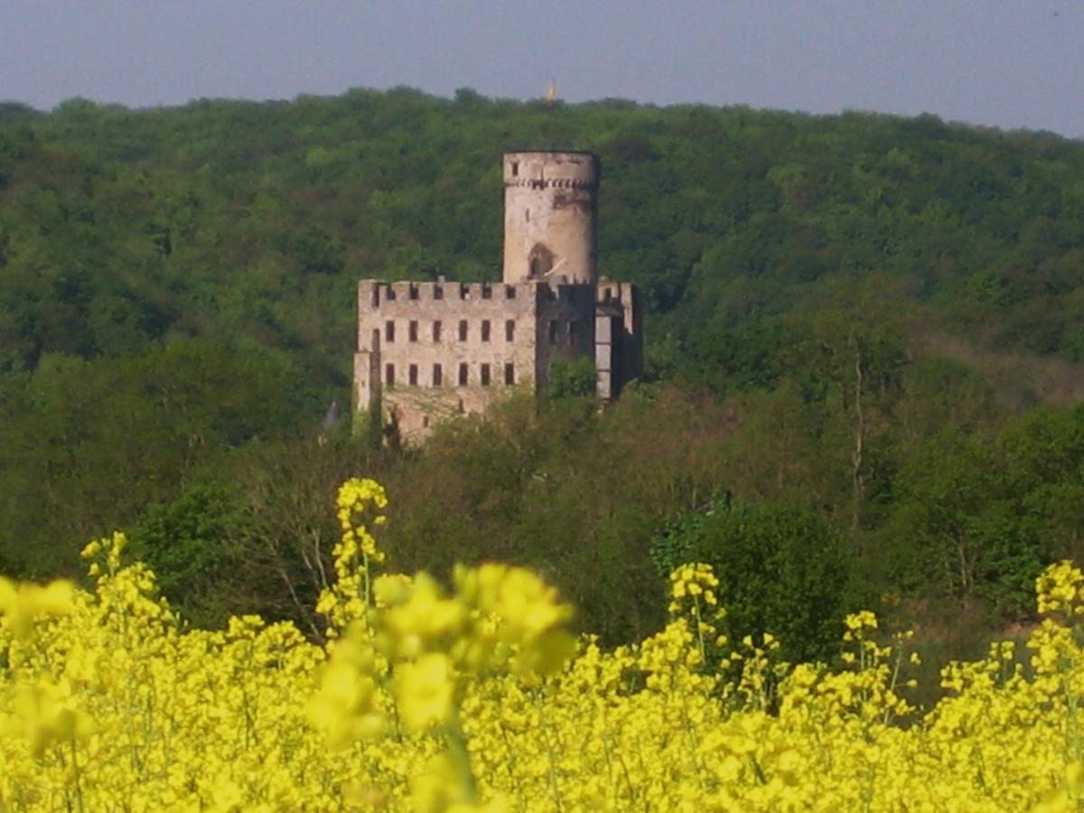 Tiny House Natur-Traum Zur Burg Eltz ヴィアーシェム エクステリア 写真