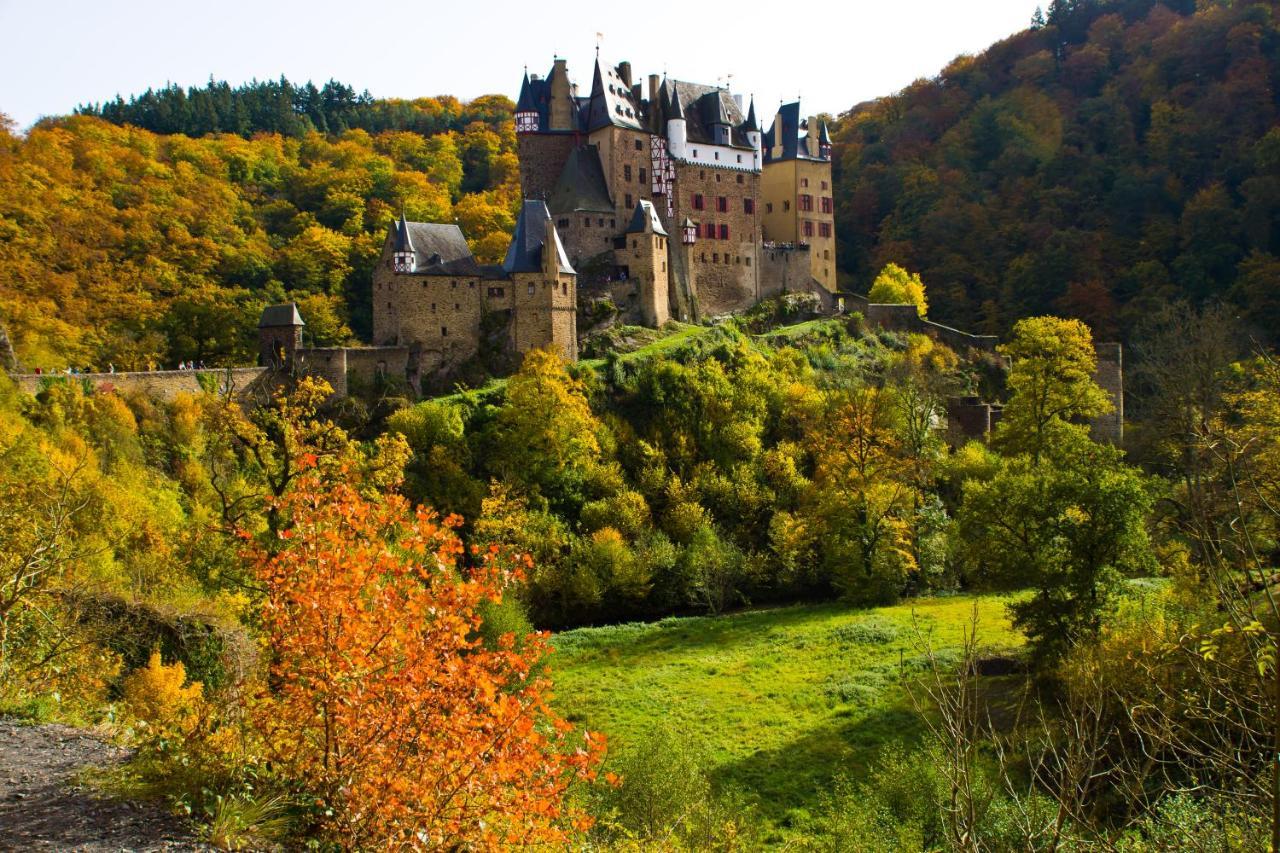 Tiny House Natur-Traum Zur Burg Eltz ヴィアーシェム エクステリア 写真
